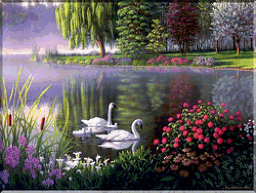 на пруду - пруд, природа, лебеди, вода - предпросмотр