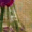 Предпросмотр схемы вышивки «орхидея» (№185704)