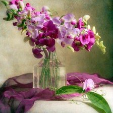 Схема вышивки «орхидея»