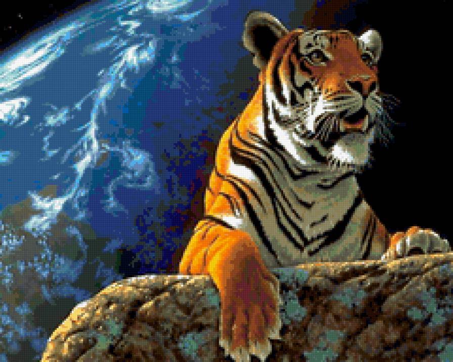 фауна - природа, животные, фауна, картина, тигр - предпросмотр
