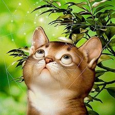 Схема вышивки «паутина»