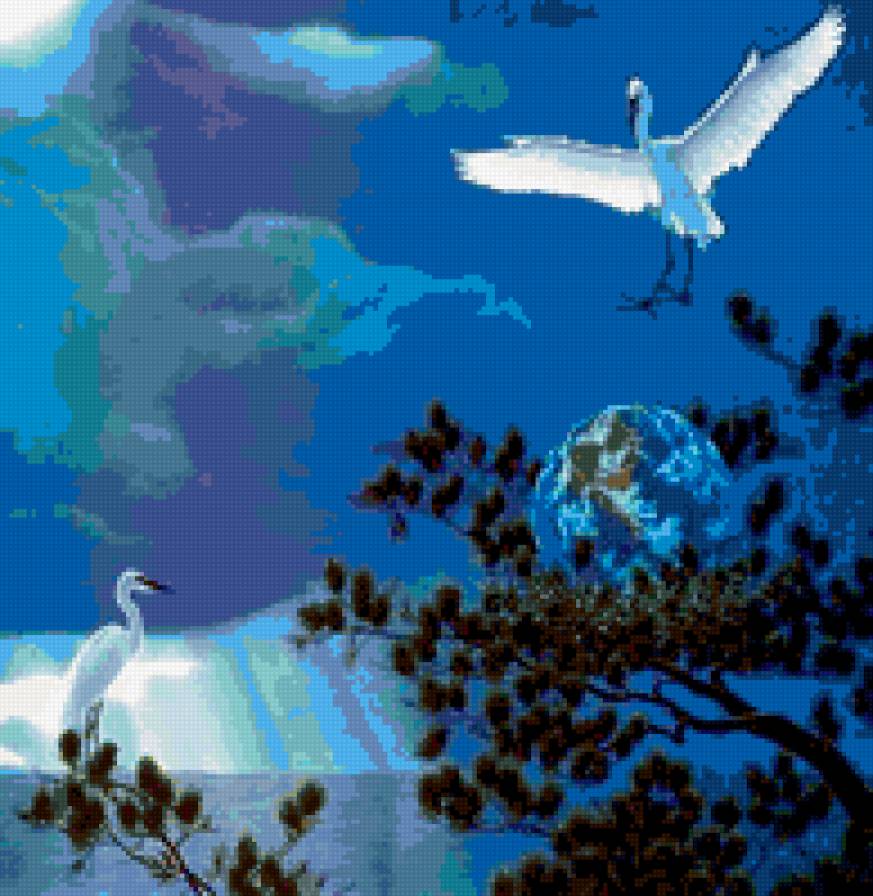 птицы - природа, ночь, вода, птицы - предпросмотр