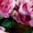 Предпросмотр схемы вышивки «розы» (№185747)