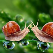 Схема вышивки «улитки»