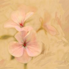 Схема вышивки «№185866»