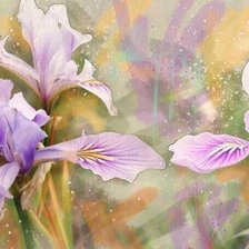 Схема вышивки «№185867»