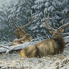 Схема вышивки «№186026»