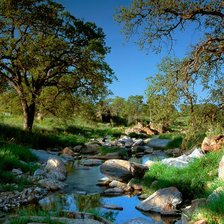 Схема вышивки «У ручья»