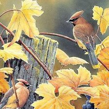 Схема вышивки «птицы»