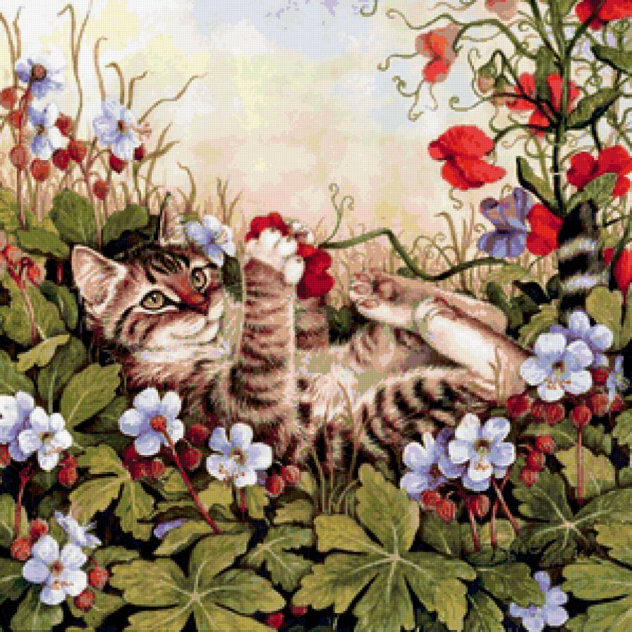 Коты - цветы, кот - предпросмотр