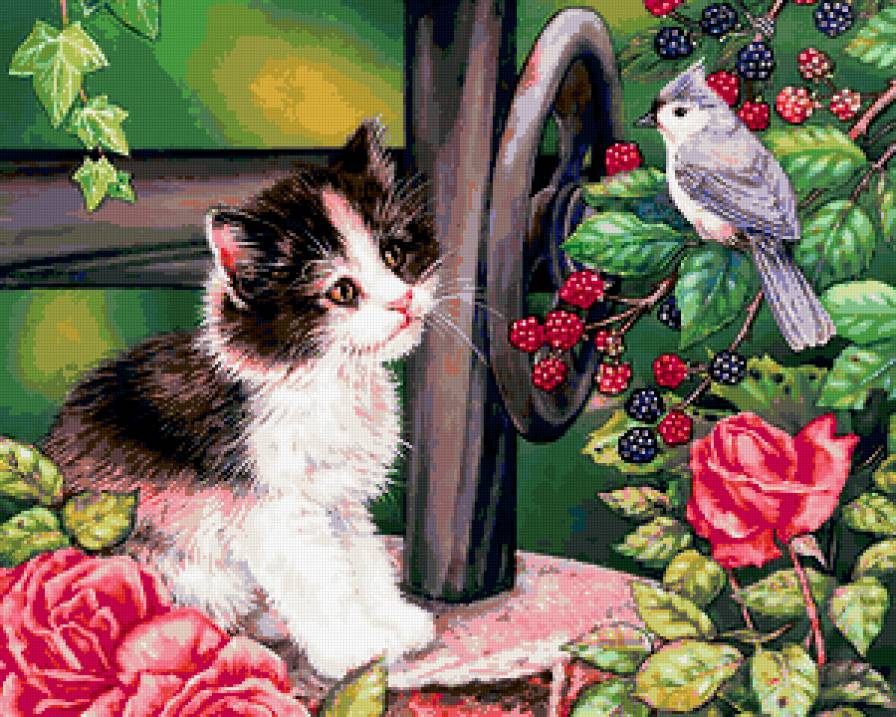 Коты - цветы, ягоды, птицы, кот - предпросмотр