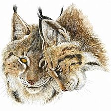 Схема вышивки «№186212»