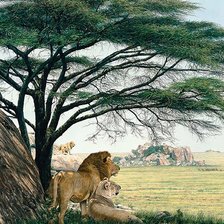 Схема вышивки «№186219»