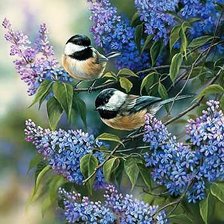 Схема вышивки «№186223»