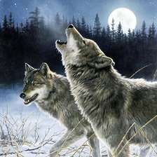 Схема вышивки «№186229»