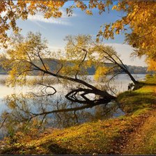 Схема вышивки «пейзаж»
