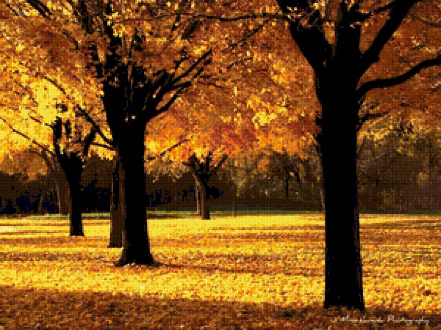 пейзаж - пейзаж, лес, природа, осень - предпросмотр