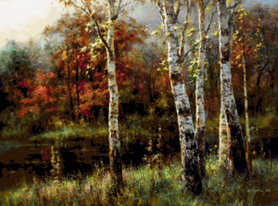 березки - березы, природа, лес, пейзаж - предпросмотр