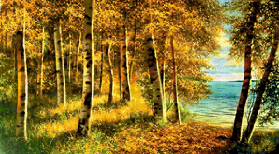 березовая роща - природа, пейзаж, осень, березы, лес - предпросмотр