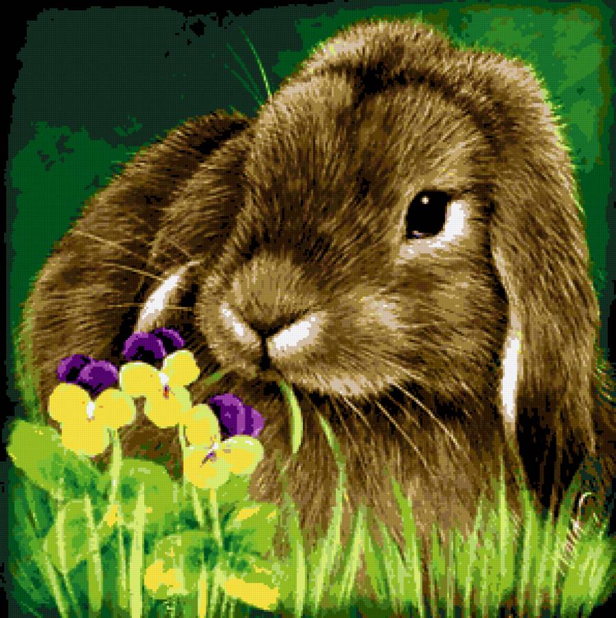 Зайчик и анютины глазки - анютины глазки, зайчик, цветы, виола, флора, анютки, зайчонок - предпросмотр