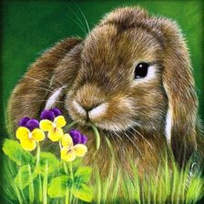 Схема вышивки «Зайчик и анютины глазки»