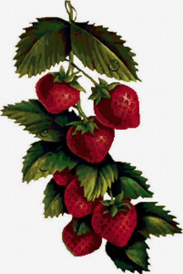 клубничка - для кухни, клубника - предпросмотр