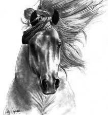 Схема вышивки «loshad»