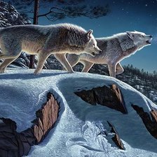 Схема вышивки «Волчья стая»