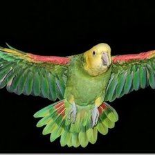 Схема вышивки «№186592»