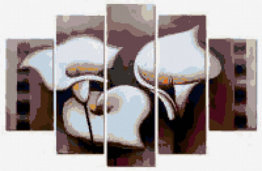 калла - цветы, картины - предпросмотр