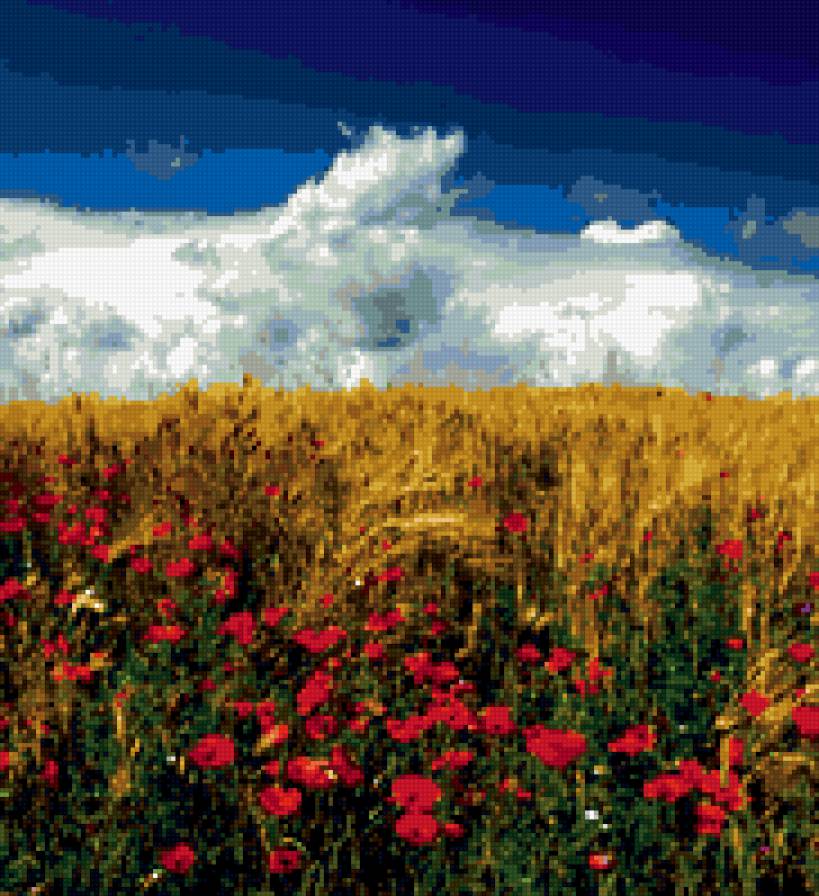 в поле - природа, цветы, лето - предпросмотр