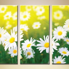 Схема вышивки «триптих ромашки»