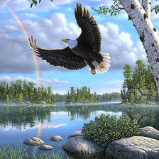 Схема вышивки «Орлиный полёт»