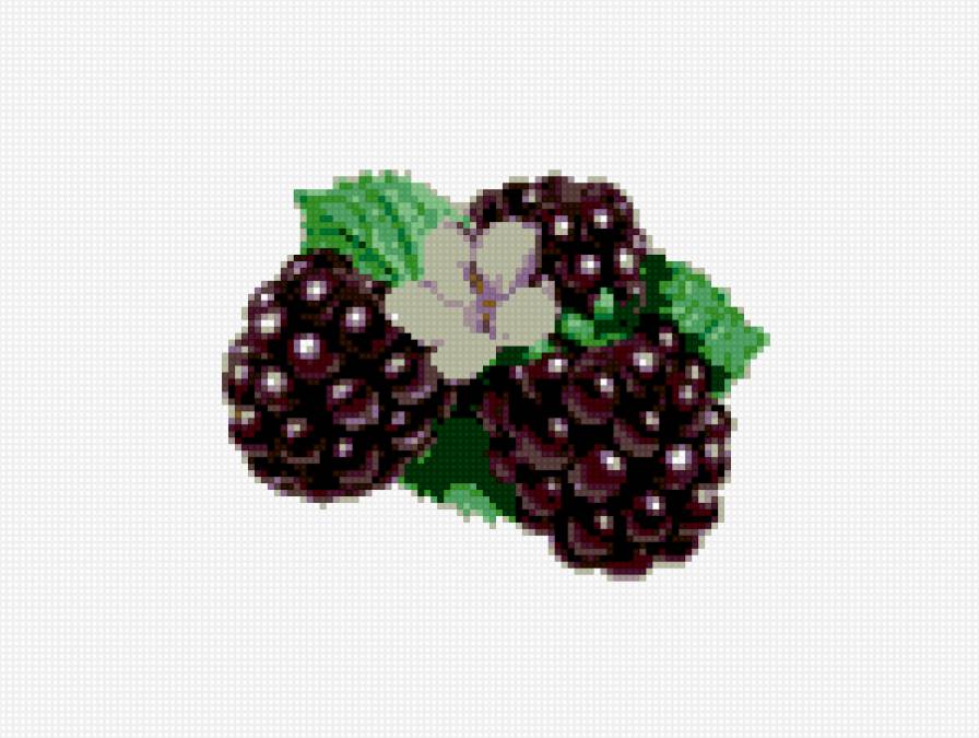 ежевика - мини-вышивка, фрукты, ягоды, ежевика - предпросмотр