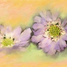 Схема вышивки «№187084»