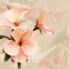 Схема вышивки «№187085»