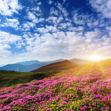 Схема вышивки «весна)»