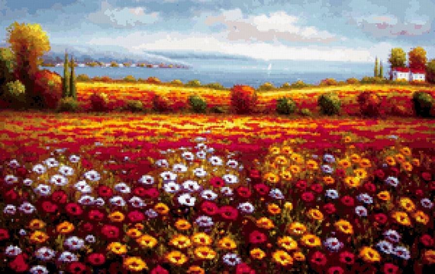 маковое поле - природа - предпросмотр
