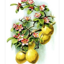 Схема вышивки «№187396»