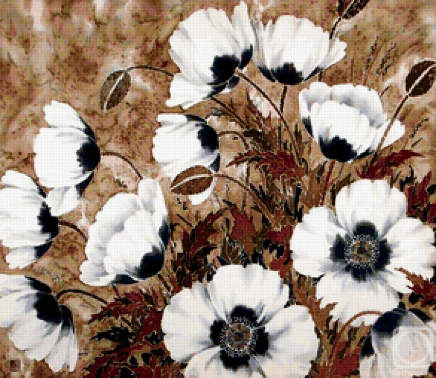 маки - маки, букет, цветы - предпросмотр