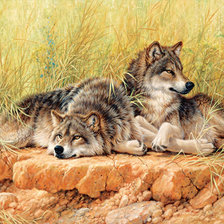 Схема вышивки «№187463»