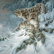 Схема вышивки «№187466»