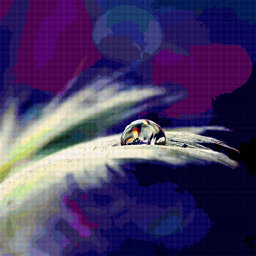 капелька росы - роса, капелька - предпросмотр