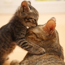 Схема вышивки «любовь к маме»