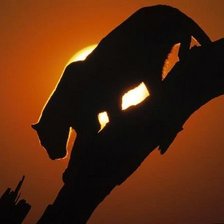 Схема вышивки «№187711»