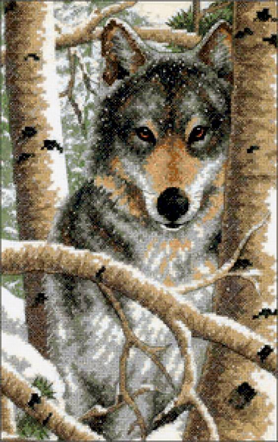 волк - предпросмотр