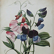 Схема вышивки «№187797»