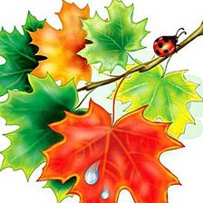 Схема вышивки «Кленовые листья»