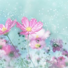 Схема вышивки «цветы»