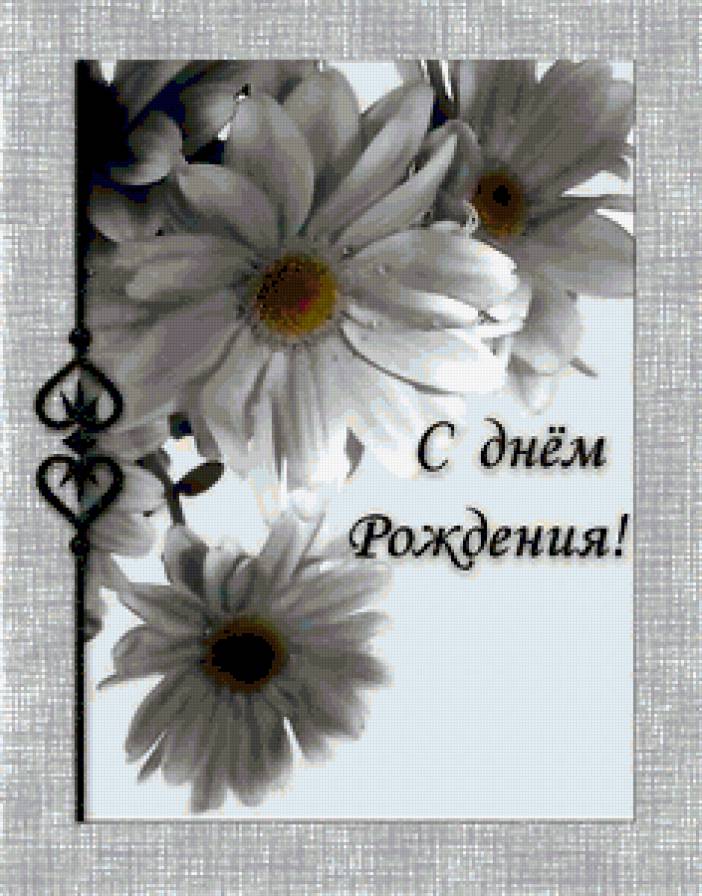 открытка - открытка, ромашки, с днем рождения - предпросмотр